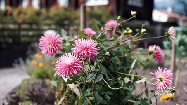 Hyaluronic Acid (Sodium Hyaluronate) Serum DIY Recipe and Benefits