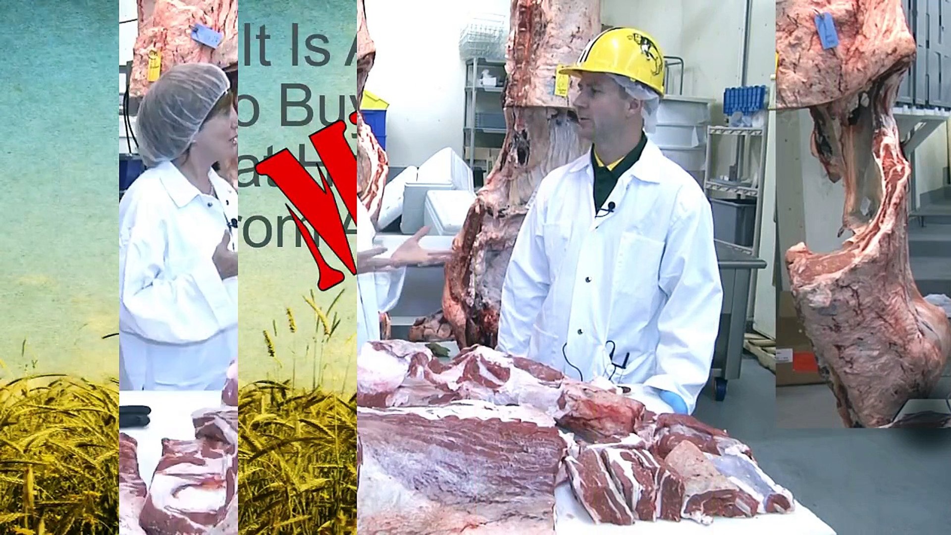 Meat Mythcrushers: How Ground Beef Is Made