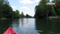 Douce balade en canoë sur le Loing