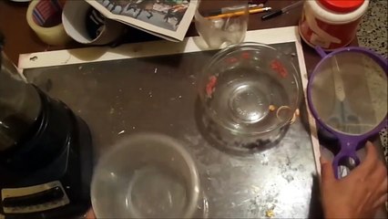 Como Hacer Papel Mache