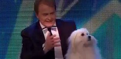 Britain's Got Talent 2015 | Marc Métral and his talking dog Wendy wow the judges | Audition Week 1 [