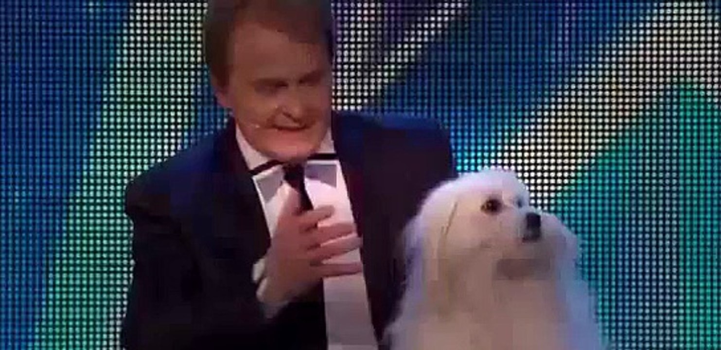 Britain's Got Talent 2015 | Marc Métral and his talking dog Wendy wow the judges | Audition Week 1 [