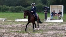 Eduardo Almeida.Xeique. Working Equitation dressage test. winner. golega2011