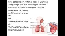 Respiratory System Song