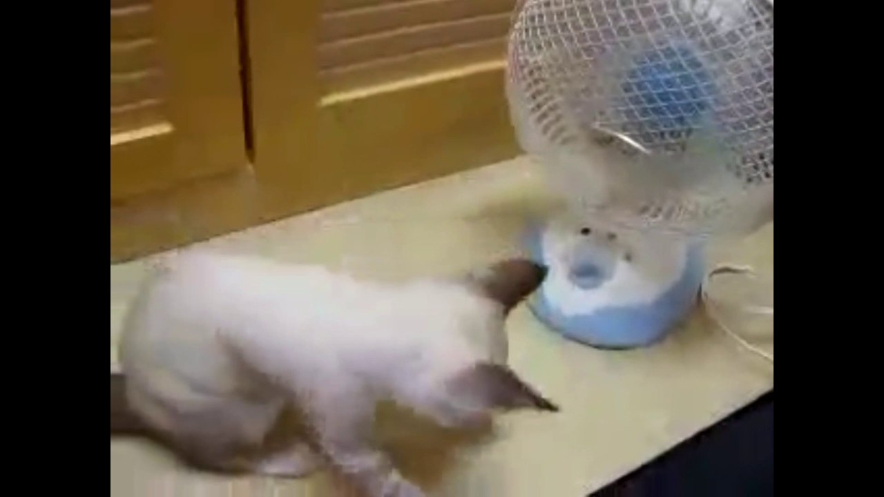 Если вам холодно