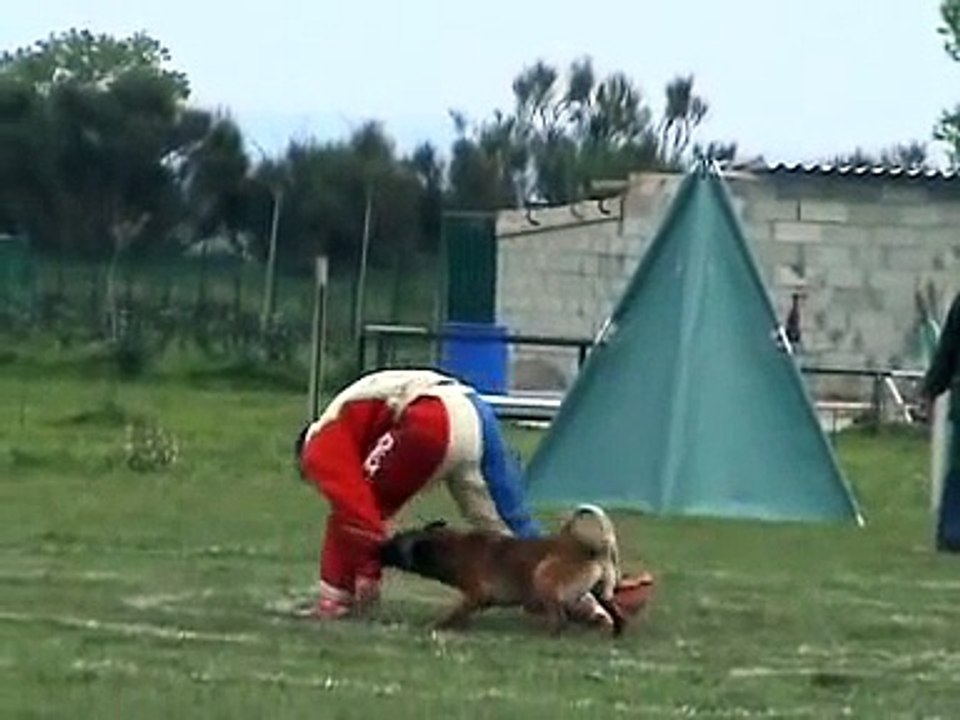 Selectif ring 2009 Pierrelatte