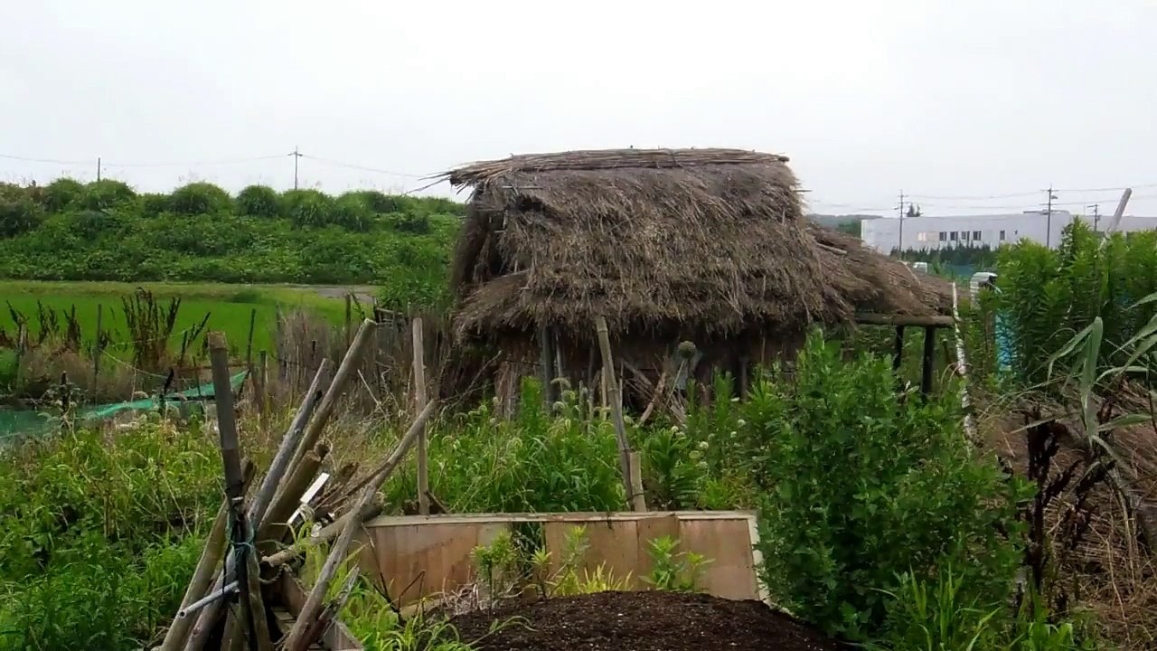 Old Thatched Building in Japan