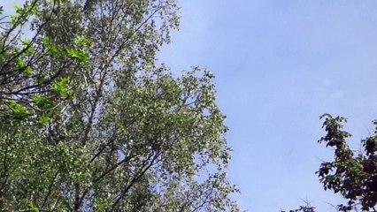 НЕБО над раёном. Торфянка