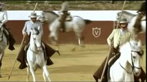 Caballos Andaluces