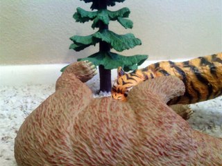 Animal Adventures Studios Presents - Animal Face-Off: Brown Bear vs  Siberian Tiger