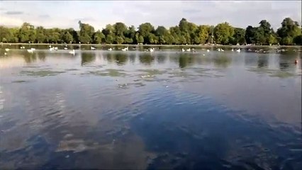 Hyde Park one of the most Beautiful places in London: SYED's Tourism