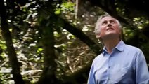 Richard Dawkins Life, Darwin & Everything