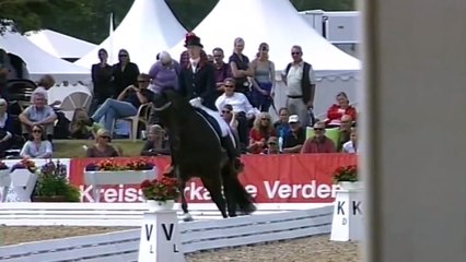 Bon Bravour v. Painted Black - Chronos  - Gestüt W.M. Hengste 2014