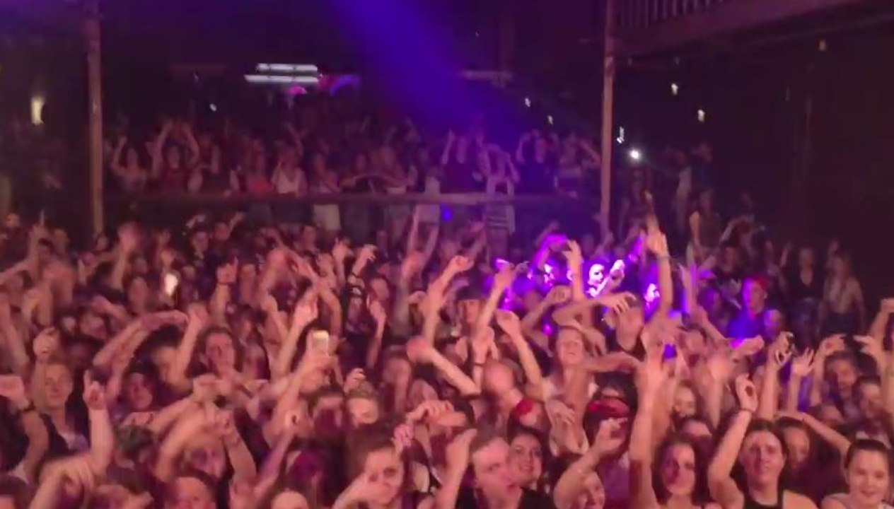 Le Troll parfait lors d'un concert électro !