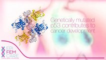 Epigenetik und Krebs