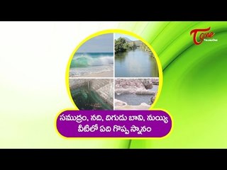 Godavari Pushkaralu | The Great Indian Holy Bath | Pushkar Snanam