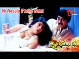 Swarnamukhi Movie Songs | Ni Aasalu Puche | Suman, Sai Kumar, Sanghavi