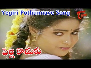 Yegiri Pothunnave Song from Pelli Koduku Movie | Naresh, Divyavani
