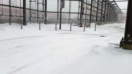 Schnee Chaos in Wien