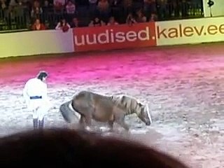 Jean Francois Pignon horseshow