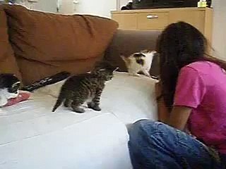 Melanie met onze Lieve Kittens