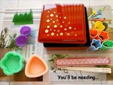 How To Make Bento Box (The Items You'll Need)