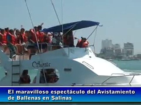 BALLENAS EN SALINAS