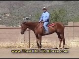 Horse Training Tip #3 Pulling A Horse To A Stop