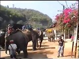 תאילנד  טיול פילים Thailand elephants Trip