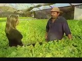 Record Rural - Hidroponia é usada como alternativa para produção de alimentos em Terenos