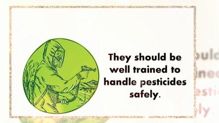 Choosing the right pest control company