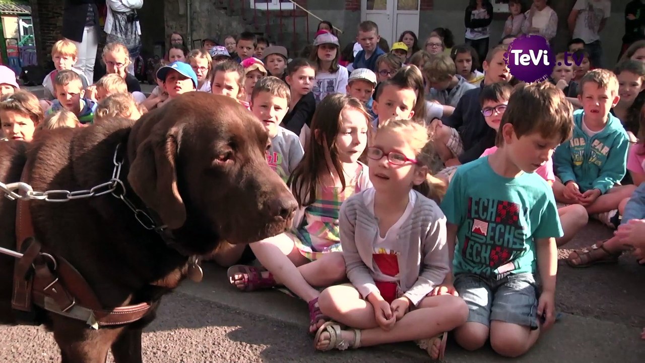 Des chiens guides à l'école de la Sainte Famille à Périers  [TéVi] 15_07_15