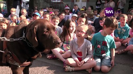 Des chiens guides à l'école de la Sainte Famille à Périers  [TéVi] 15_07_15