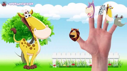 Animal ABCs + More | Collection of Animals Songs, Childrens Finger Family Cartoon Nursery