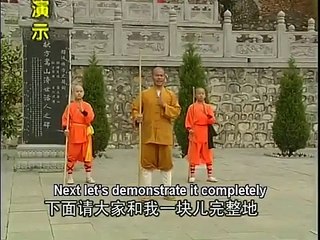 Shaolin kung fu yin-hand staff