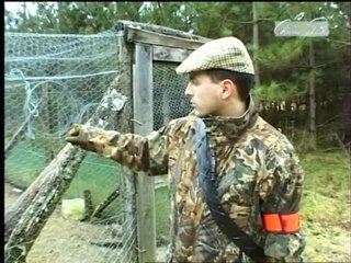 CHASSE A L'ARC  "Le faisan vénéré"