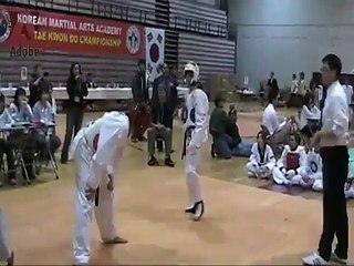 Taekwondo Highlights 2007 Hayk Amirbekyan
