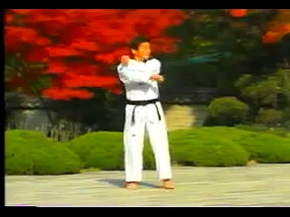 poomse 2