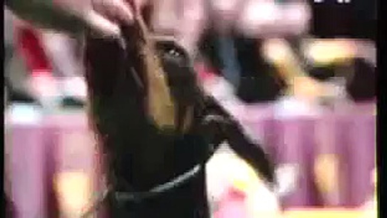 Sadie BIS westminster KC 2010.mp4