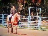 People Falling Off Their Horses(Bucking, Rearing)
