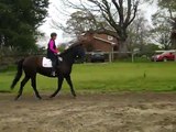 Contact. On the bit at the canter. Nervous hot horse. 2nd time!  S4 dressage training