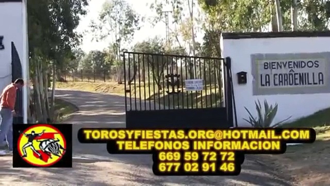 TOROS PARA ENCIERROS,  CAPEAS Y CONCURSO DE RECORTADORES 2012