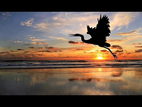 Ginette Reno - Merci la vie