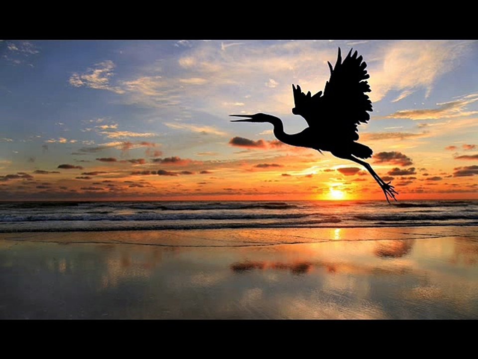 Ginette Reno - Merci la vie