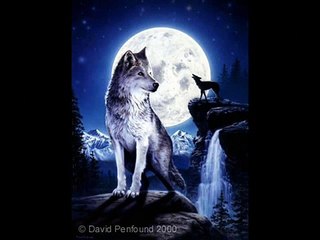 Wolfstraum von Subway to Sally