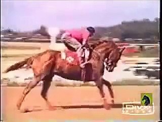 Grandes Remontadas Carreras de Caballos