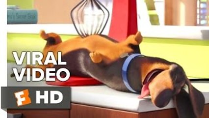 The Secret Life of Pets VIRAL VIDEO - Meet Buddy (2016) - Jenny Slate Animated M_HD