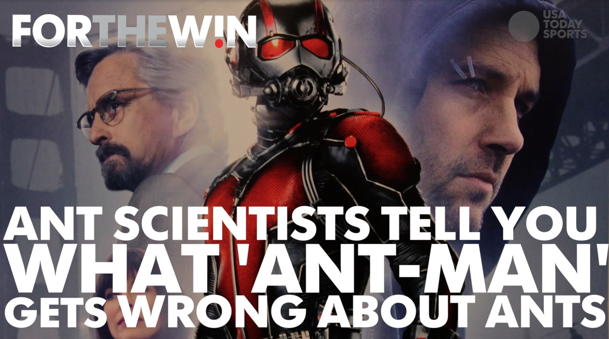 ⁣Ant scientists tell you everything 'Ant-Man' gets wrong about ants