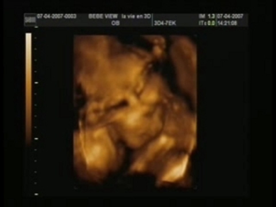 lylou en 3d 7 mois de grossesse