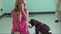 Dona se emociona ao ver seu cachorro após cirurgia